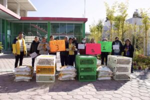 Concluimos la segunda etapa del programa avícola, que beneficia a 12 familias de San Matías Tlalancaleca, San Fernando el Ocotal y San Antonio Chautla de Arenas.
